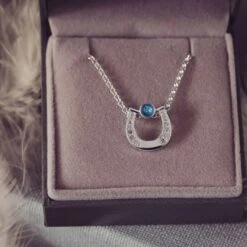 Horse Shoe Necklace Made With Horse Hair