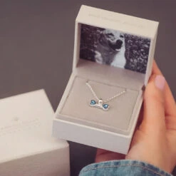 Cremation Ashes Pet Tag Necklace